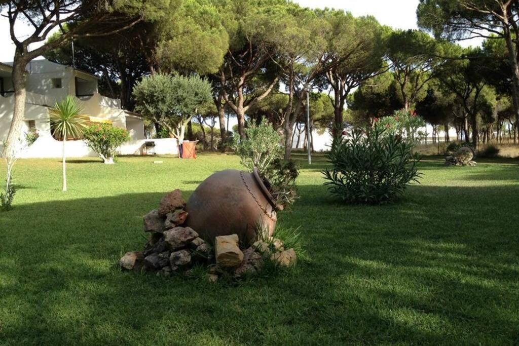 Buganvília Apartment Praia da Falésia Albufeira Kültér fotó